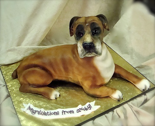 dog-cake-3.jpg