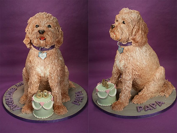 joey-dog-cake.jpg