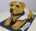 colby-dog-cake.jpg
