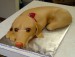 Dog-cake.jpg